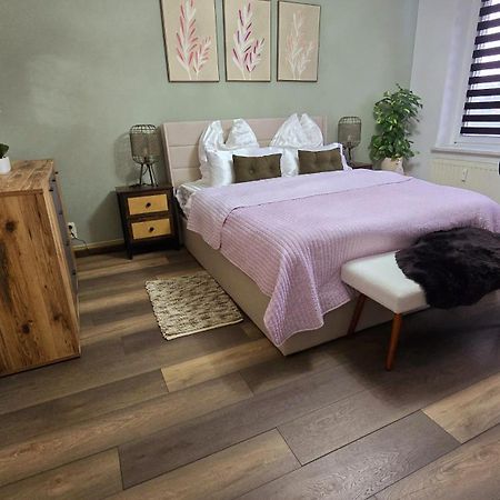Cozy Pet-Friendly Apartment Meißen Kültér fotó