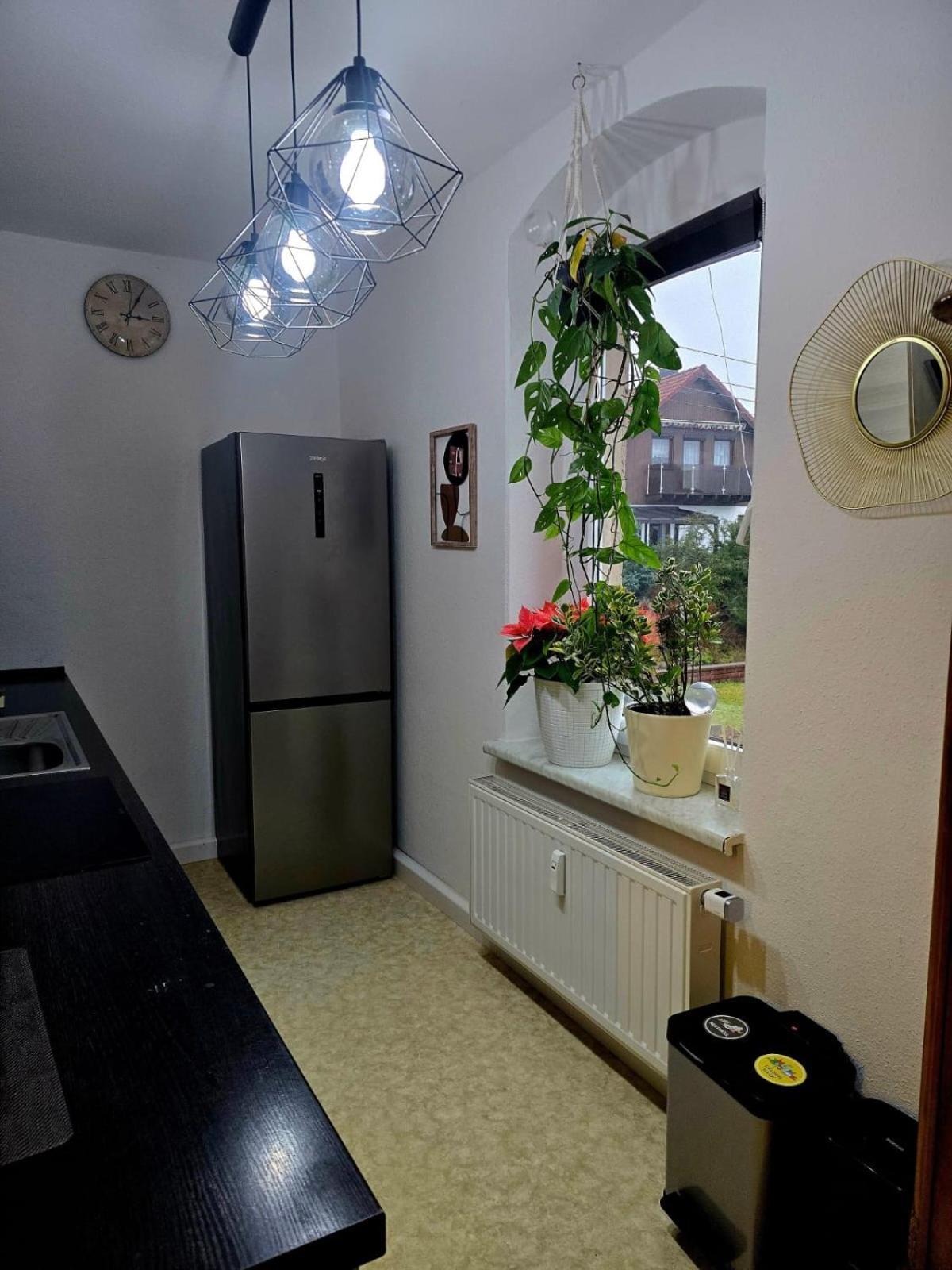 Cozy Pet-Friendly Apartment Meißen Kültér fotó