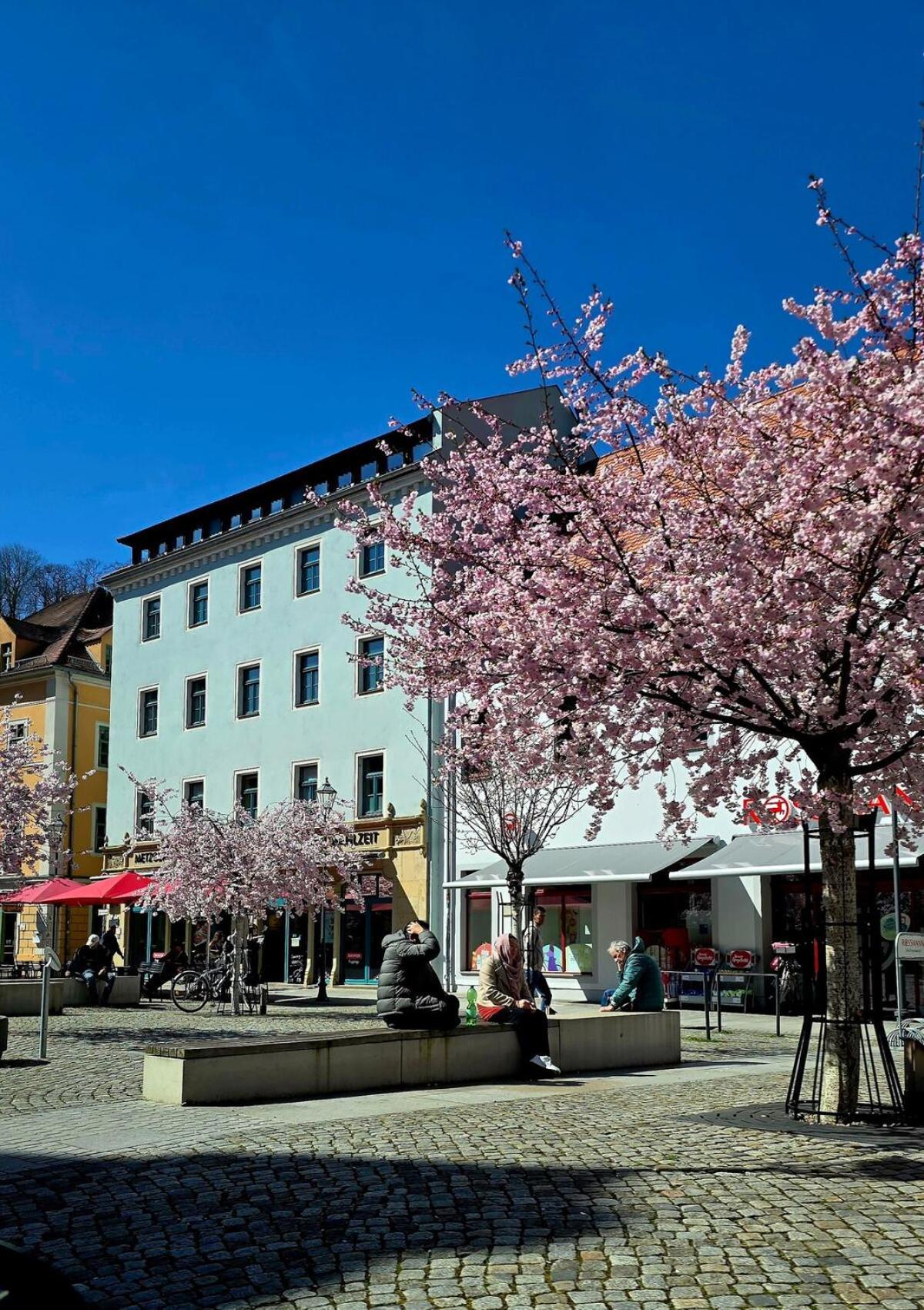 Cozy Pet-Friendly Apartment Meißen Kültér fotó